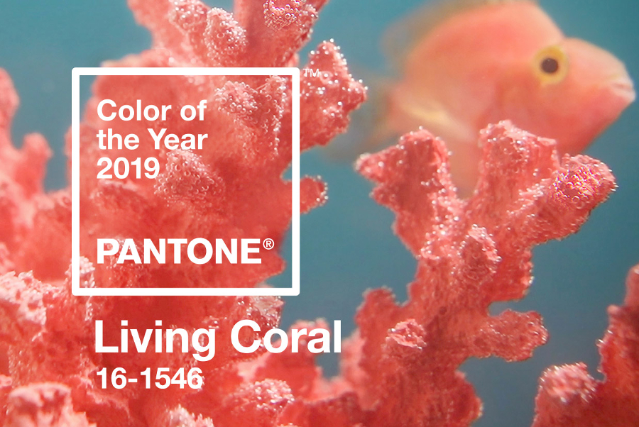 Il colore Pantone dell’anno 2019